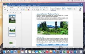 Microsoft Office Home and Business 2016 สำหรับการติดตั้งใบอนุญาตของแท้ของ Mac บนเว็บไซต์ MS